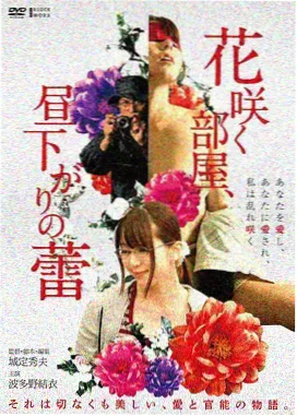 大陆配音完整线 B 封面